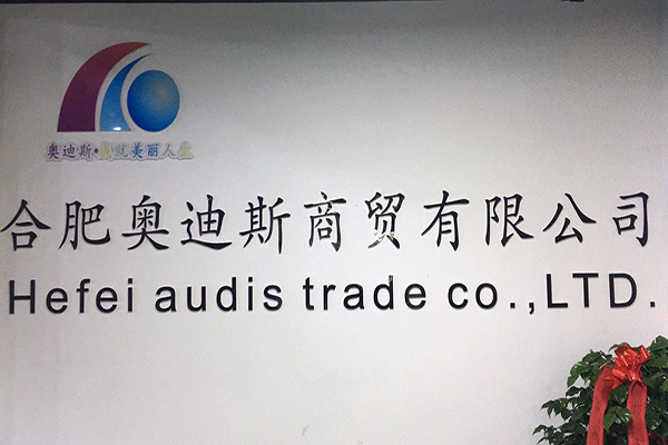 合肥奧迪斯商貿
